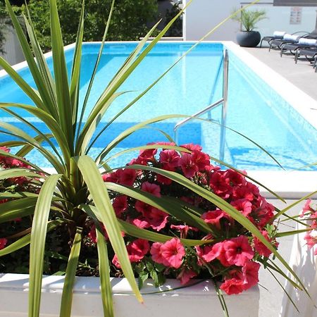 Luxury Apartment Antoni Подстрана Экстерьер фото